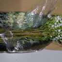 lovemoon Mixed Greenery Artificial Eucalyptus Stems, Baby Breath Artificial Flowers Bulk and Eucalyptus Leaves for Wedding Bouquets Home Office Floral Decor (100, Green and White)