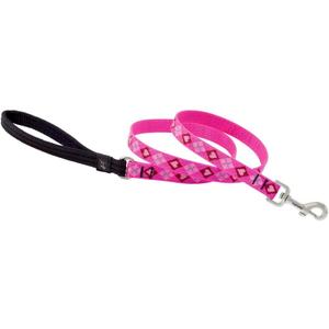 LupinePet Originals 3/4" Puppy Love 4-Foot Padded Handle Leash for Medium and Larger Dogs 
