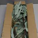 Faux Eucalyptus Stems - 34' Long Fake Salix Leaves 6 Pcs Artificial Greenery Stems for DIY Bouquet Arrangements, Centerpieces, Shower Decorations