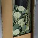 Artificial Eucalyptus Tree,6Ft Tall Fake Potted Tree Silk Faux Eucalyptus Tree with Plastic Nursery Pot, Artificial Plants for Home Office Indoor Decor (2in)