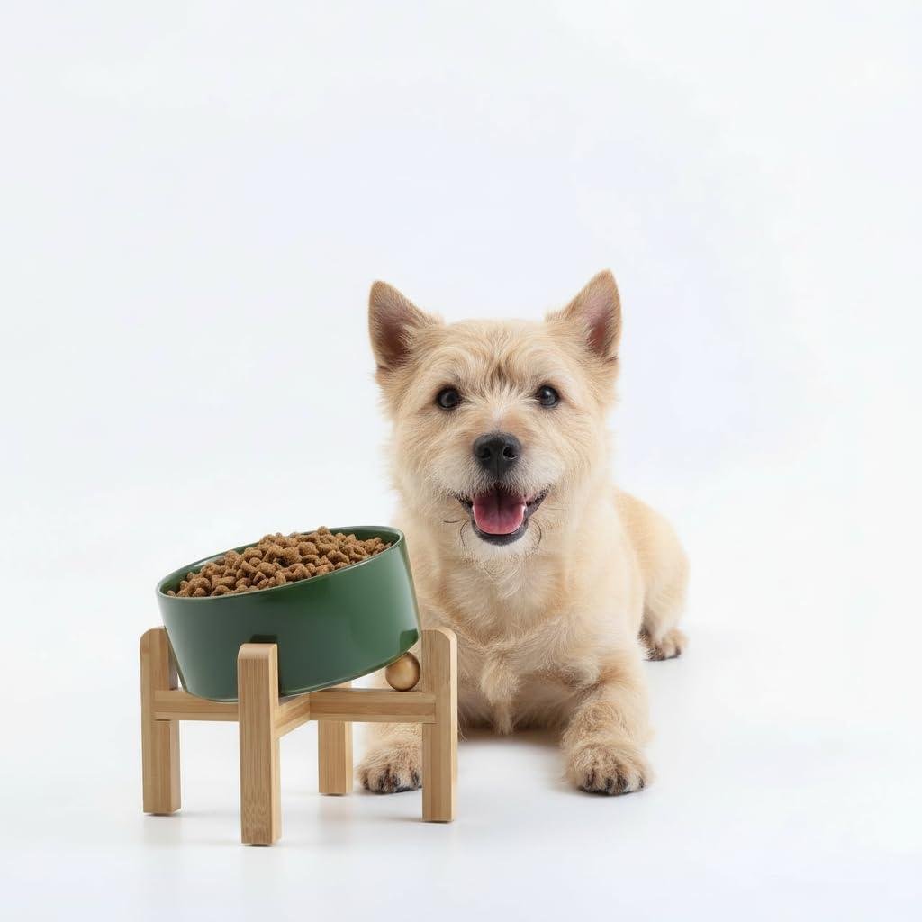 Petygooing Raised/Elevated 15Slanted Ceramic Dog Bowl for Small Breeds,Tilted Anti Slip Pet Feeding Bowl,Food Water Dish with Stand for Cats and Small Dogs Puppy 13.5 OZ (5.1In / 1.7 Cups)Rust Green