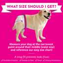 Bodhi Dog Disposable Female Dog Diapers - Super Absorbent Dog Diapers for Female Heat Cycle - Adjustable Fit Pee Wraps for Potty Training, Moisture Control & Wetness Indicator - Extra Large (20 Count)