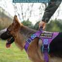 Service Dog in Training Vest Leash Set, Reflective Do Not Pet Dog Harness with Handle and 6 Patches, Full Metal Buckles, for Large Dogs Training Walking, X