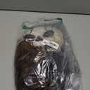 Morph Dark King Skeleton Costume Kids With Mask - Skeleton Knight Costume Kids Dark King Halloween Costumes for Boys (Medium)