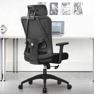 FelixKing Ergonomic Office Chair, Adjustable Lumbar Support, Breathable Mesh Backrest, 18-inch Black