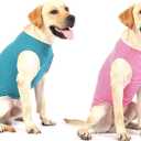 WEONE Dog Summer T-Shirts Striped Cotton Vest,Pet Breathable Soft Basic Clothes for Small Medium Larg Boy Girl Dogs,XL (Green+Pink(1 Pack include 2 pcs))