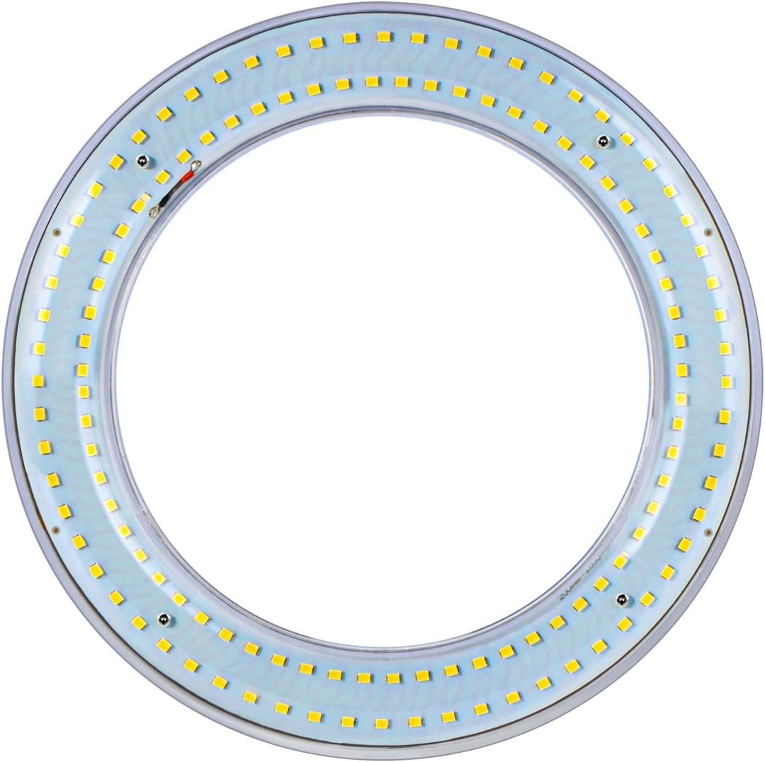 T9 LED Circline Light Bulb, 8 Inch 1700LM LED Circular Light, 12W Clear Cover 6500K Daylight Replacement for FC8T9/CW 22-Watt Fluorescent Circular Bulb (6500K, 8")