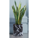 GJCR products 10 Inch Round Ceramic Planter with Tray, Black Marble Finish, Indoor Plant Pot with Drainage Mesh and Scratch Pad Black