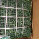 Artificial 20"x20" (12 Pieces) Boxwood Grass Wall Panels Screen | UV-Anti Faux Green Leaf Privacy Fence, Garden/Backyard/Patio/Balcony/Party Greenery Hedge Backdrop, Indoor Outdoor Decor