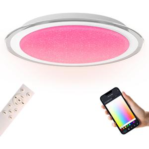 LED Ceiling Light with Bluetooth Speaker | 20 inch,60W,1-PACK,Color Changing Dimmable,Compatible with Alexa,Google Home,Semi-flush mount,for Living Room,Bedroom,Kitchen