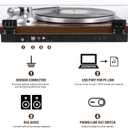 Belt Drive Turntable for Vinyl Record Player,Connect with Bluetooth Speakers or Active Speaker,Built-in Phono Pre-amp,USB Digital Output, Magnetic Cartridge,High-Gloss Wood Design(Brown)