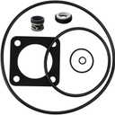 O-Ring Replacement Kit (1998 to Present) for Sta-Rite P2RA & P2R DuraGlas/MaxeGlas Pump Rebuild Kit 54