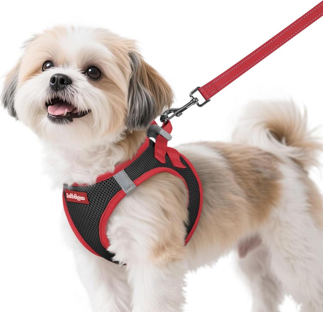 rabbitgoo Dog Harness Small Sized and Leash Set, Step-in Breathable Pet Harness, Soft Walking Reflective Puppy Vest for Small Dogs, Black & Red, (S (Chest: 15.1 - 16.5")