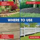 Roundup Weed and Grass Killer with Pump 'N Go 2 Sprayer, Use in and Around Flower Beds, Trees & More, 1.33 gal.