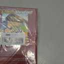 The Picture Bible