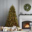 National Tree Company 6.5 ft Pre-Lit Dunhill Fir Artificial Christmas Tree, 650 Warm White LED Lights, 1,838 Tips, Includes Stand, Green