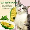 Self Grooming Tool with Catnip, Wall Corner Scratcher, Massage Brush for Long & Short Fur Cats and Puppies