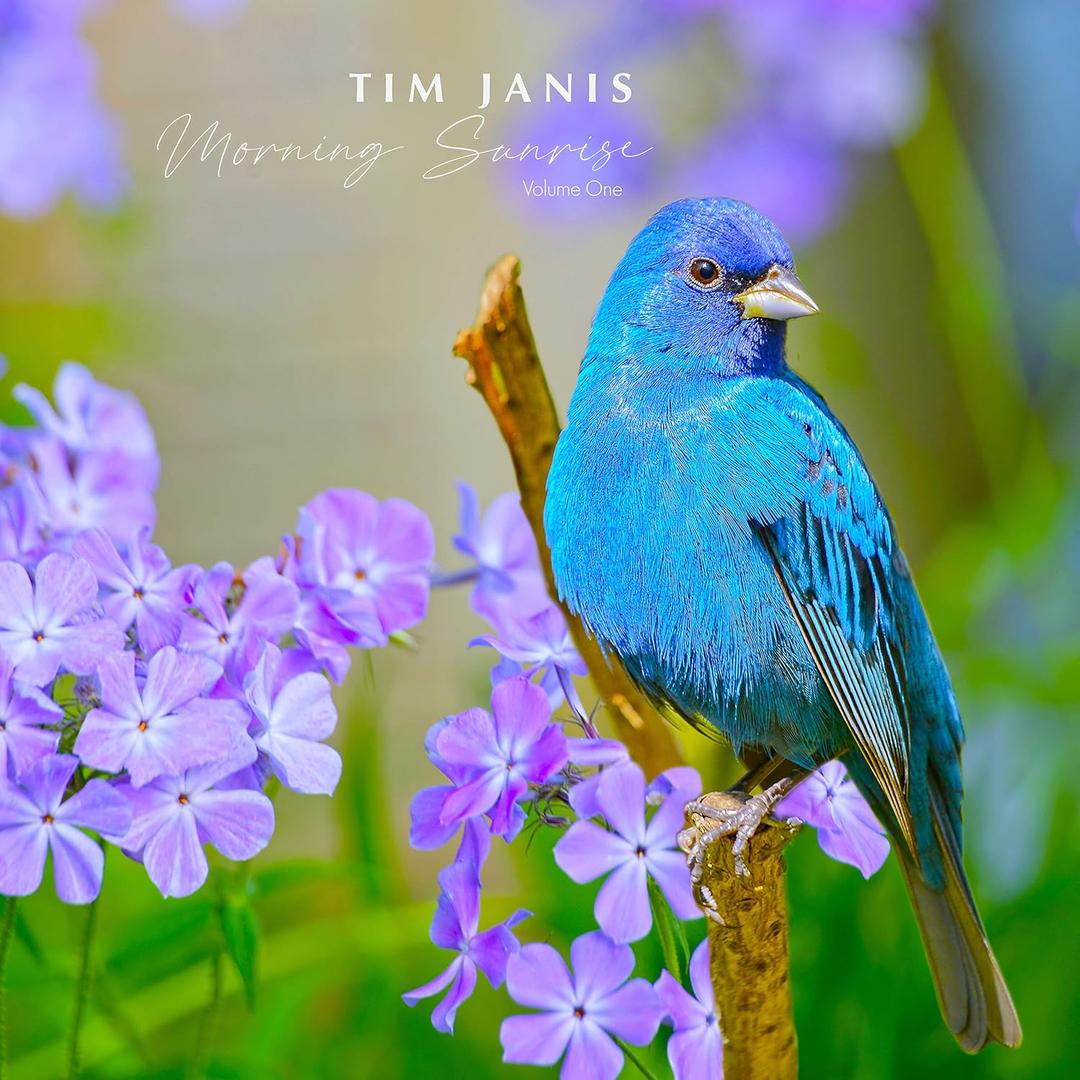 Tim Janis Morning Sunrise Volume One - Relaxing Music Traditional Instrumental Hymns Sounds for Relaxation, Stress Relief, and Meditation - Soothing Piano Calming Music Audio Tim Janis