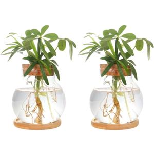 Plant Propagation Station,Hydroponic Glass Container Vase Jars, with Wooden Saucer for Desks, Houses, Garden Decorations, Home Kitchen Decorations and Gifts for Plant Lovers (2)