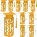 9 Pcs Graduation Table Centerpieces Boxes 2025 Graduation Lantern Boxes with LED Light Small Cap Table Decorations Congrats School College Photo Props(Grad,Gold)