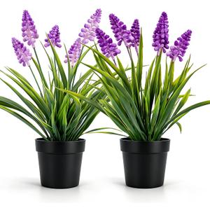 MONOID 2 Pack Artificial Hyacinth Plants - Realistic Fake Muscari Flowers in Black Pots, Small Desktop Decor Set for Home Office Bathroom, No Water Needed, Purple