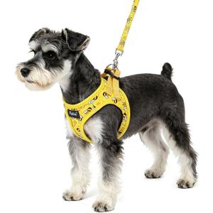 PUPTECK Dog Harness and Leash Set for Small Dogs No Pull Step-in Soft Mesh Puppy Cat Vest Harnesses Reflective at Night, Yellow Bee, S