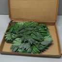 60Pcs Italian Ruscus Greenery Stems Bulk for Filler Table Centerpieces 18" Artificial Silk Greenery Leaves for Bouquet