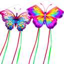 HENGDA KITE 2 Pack Butterfly Kite,for Kids and Adults,Easy to Fly,Excellent Fabric and Structure Design,The Pictures are Beautiful in high Definition,Suitable for Beginners (31x22)