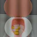 portable, foldable potty seat for toddler, Training Toilet Seat Emergency Toilet for Car, Camping, Outdoor, indoor (pink, small)