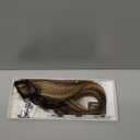 S-noilite 6Pcs Clip in Human Hair Extensions,Remy Single Short Clip in Hair Extensions 6Pcs 6clips Straight Medium Brown/Dark Blonde Seamless Hairpieces for Women 14Inch 36g