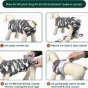 Kuoser Recovery Suit for Dogs Cats After Surgery, Professional Pet Recovery Shirt Dog Abdominal Wounds Bandages, Substitute E-Collar & Cone,Prevent Licking Dog Onesies Pet Surgery Recovery Suit (M)