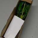 FAVOWREATH Fake Plants Potted Artificial Plants Indoor Faux Plants Bamboo Potted Suitable for Bathroom Decor Office Room Farmhouse Indoor Table Home Decor