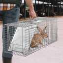 ZENY Live Animal Cage Trap 32" X 12.5" X 12" w/Iron Door Steel Cage Catch Release Humane Rodent Cage for Rabbits, Stray Cat, Squirrel, Raccoon, Mole, Gopher, Chicken, Opossum, Skunk & Chipmunks