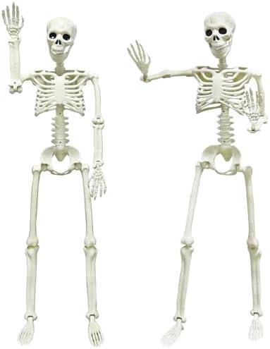 Amazon.com: CAMIRUS 2PACK 36" Skeleton Halloween Decorations, 3ft Life Full Size Skeleton with Realistic Posable Movable Joints for Halloween Haunted Houses, Lawn, Graveyard : Patio, Lawn & Garden