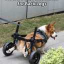 Adjustable Medium Dog Wheelchair for Back Legs, Upgraded Wheel, Disabled Pets, Leg Brace, Mobility Aid for Medium Pets, Hind Limb Rehabilitation, Older, Disabled (L(Chest 25.2-30.7in))