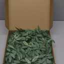 Ling's Moment Artificial Rose Leaf Greenery Garland - 6 Pack, Candle Vines, Faux Splicable 2.3ft Stems for Table Centerpieces, Lantern Rings, Hanging Backdrop Floral Arrangements & Wedding Arches