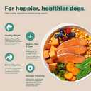 Jinx Premium Grain-Free Dry Dog Food, for All Lifestages - Real Salmon, Sweet Potato & Carrot Kibble with Superfoods for Immune Support & Probiotics for Digestive Support - No Fillers - 11.5lb, BBD 10/01/2027