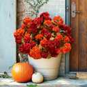 Fake Geraniums Artificial Flowers for Outdoors Fall Autumn Decoration, 6 Bundles Silk Geraniums Look Real Faux Fall Flowers Plants for Front Door Garden Planter Patio Balcony Yard Home Indoor, Mix