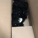 National Tree Company 2ft Unlit Halloween Collection Tinsel Tree, Black
85 Tips, Includes Stand, Artificial, 24 in