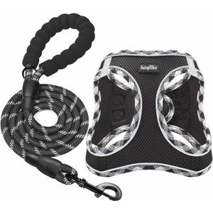 haapaw Dog Harness with Leash Set, No Pull Adjustable Reflective Step-in Puppy Harness with Thickened Padded Vest for Extra-Small/Small Medium Dogs (Black)