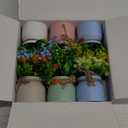 Der Rose 6 Pack Fake Flowers Artificial Plants Indoor for Home Kitchen Office Dining Centerpiece Table Decorations