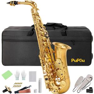 Alto Saxophone Student Beginner Eb Saxophone Kit