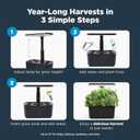 AeroGarden Harvest Lite in Black, Soil-Free Indoor Hydroponic Garden with LED Grow Light for Year-Round Gardening of up to 6 Herbs and Vegetables
