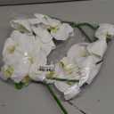 Fnize Orchid Stems Artificial Flowers Real Touch Latex Faux Phalaenopsis Branches 9 Large Blooms 38 Inches 2pcs White