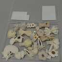 20 PCS Toddler Hair Clips 2.4 Inch Baby Girl Hair Bows Fully Covered Barrettes Infant Hair Accessories for Babies and Kids (Off White)