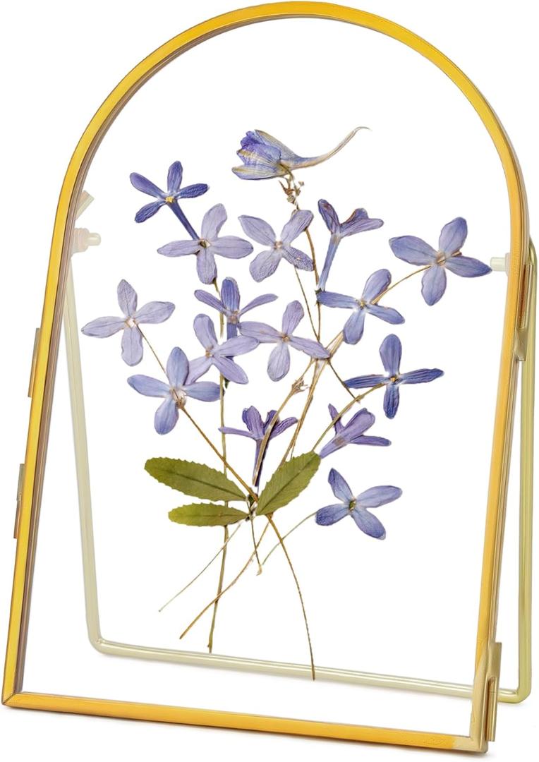 Double Glass Frame for Pressed Flowers Handmade, Metal Floating Picture Frame for Pressed Flower, Tabletop Display, Brass, ArcShaped, Gold, 4x6 inches (FRAME ONLY) (4L" x 6W")