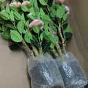 Artificial Camellia Tree 2 Pack, 36’’ Faux Camellia Plant in Pot with Pink Flowers, Greenery Potted Plant for Indoor Outdoor Office Home Porch Decor, Pink