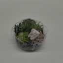 MyGift Mini Artificial Succulent in Pot, Fake Plant Arrangement in Black Ceramic Planter Bowl