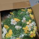 24 Inch whiteYellow Artificial Forsythia Silk Front Door Wreath | Elegant whiteYellow silk flower summer wreath, decor for wall, farmhouse indoor & outdoor home decoration