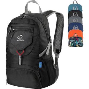 WATERFLY Small Lightweight Packable Backpack: 20l Ultra Light Foldable Travel Hiking Camping Daypack Day Pack for Man Woman (Black)